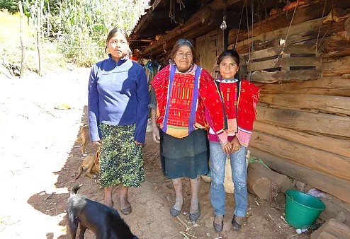 La situación de la mujer en los arreglos matrimoniales. Estudio de caso en San Martín Itunyoso, Oaxaca