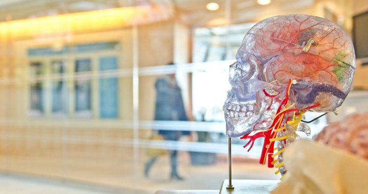 Neurociencia: aportes y limitaciones para el estudio de las emociones desde la perspectiva sociológica. ¿Vender a través de las neuronas espejo?