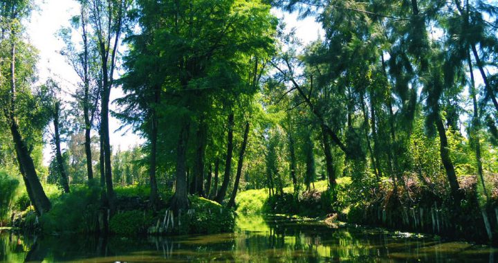 Desarrollo sustentable y turismo alternativo. Centro Ecoturístico Olintlalli en Xochimilco, Ciudad de México