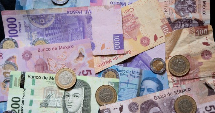 ¿Cómo abordar un tema de investigación dentro del marco de la sociología del pasado? Un ejemplo con billetes y monedas