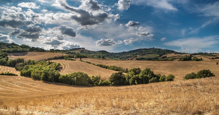 ¿Qué es lo rural?